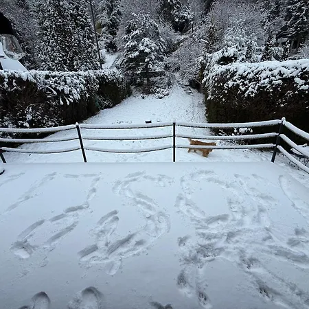 Alpehytte Chill House W Beskidach, Beskid Zywiecki Ujsoły