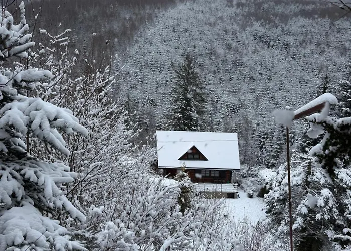 Chill House W Beskidach, Beskid Zywiecki Horská chata *